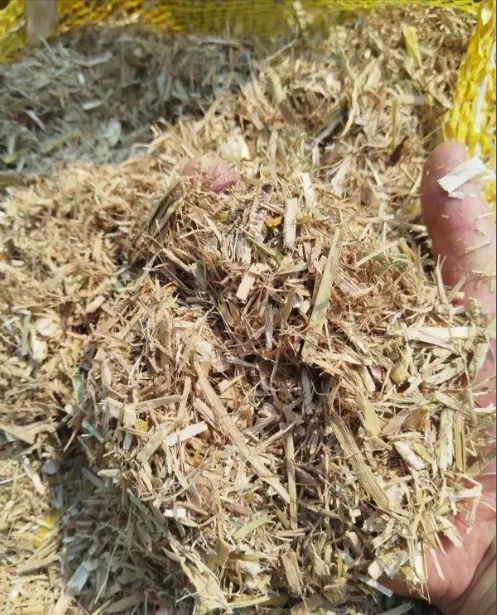 Sugarcane leaf pellets